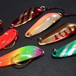 フィッシングレイクたかみや 釣果