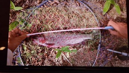 フィッシングレイクたかみや 釣果