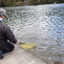 フィッシングレイクたかみや 釣果