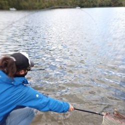 フィッシングレイクたかみや 釣果