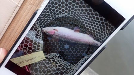 フィッシングレイクたかみや 釣果