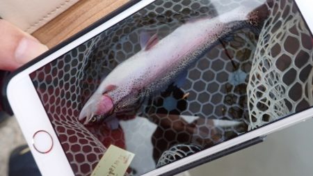 フィッシングレイクたかみや 釣果