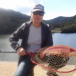 フィッシングレイクたかみや 釣果