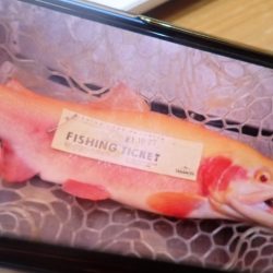 フィッシングレイクたかみや 釣果