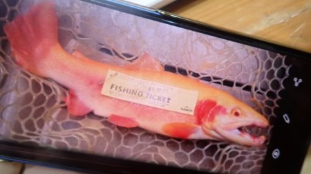 フィッシングレイクたかみや 釣果