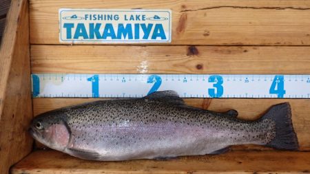 フィッシングレイクたかみや 釣果