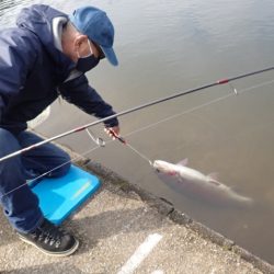 フィッシングレイクたかみや 釣果