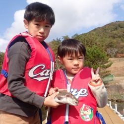 フィッシングレイクたかみや 釣果