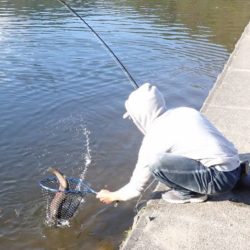 フィッシングレイクたかみや 釣果