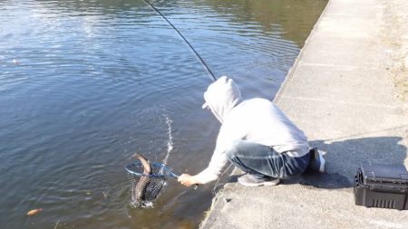 フィッシングレイクたかみや 釣果