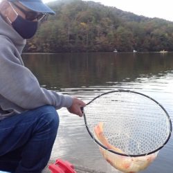 フィッシングレイクたかみや 釣果