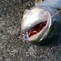 まだまだ未熟です。