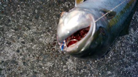 まだまだ未熟です。