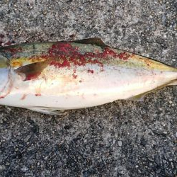 まだまだ未熟です。