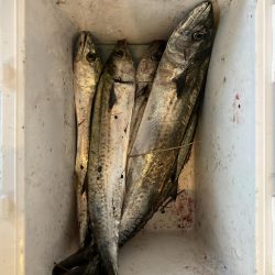 ショアジギング