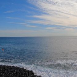 カツオがボチボチ釣れてます。
