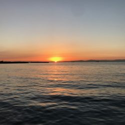 短時間エギング