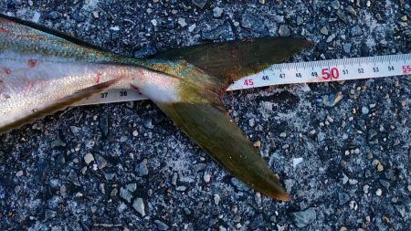 まだまだ未熟です。