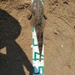 久々釣行でフラットラッシュ