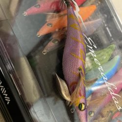 エギングで思わぬサイズ？！