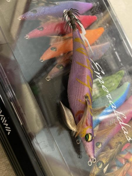 エギングで思わぬサイズ？！