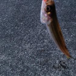 まだまだ未熟です。