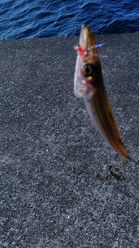 まだまだ未熟です。