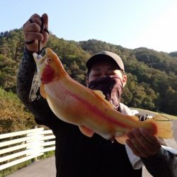 フィッシングレイクたかみや 釣果