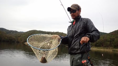 フィッシングレイクたかみや 釣果