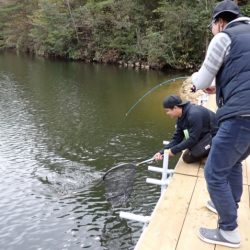 フィッシングレイクたかみや 釣果
