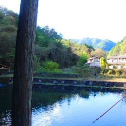 小菅トラウトガーデン 釣果
