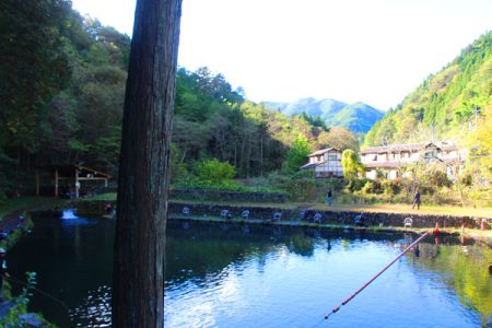 小菅トラウトガーデン 釣果