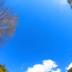 小菅トラウトガーデン 釣果