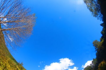 小菅トラウトガーデン 釣果