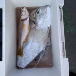 本部釣りイカダ 釣果