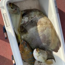 本部釣りイカダ 釣果