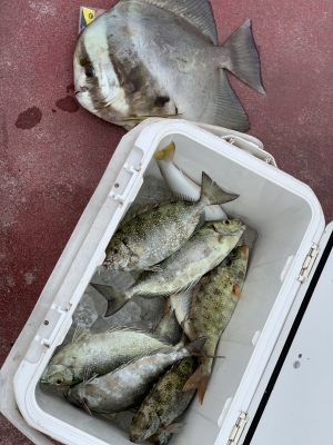 本部釣りイカダ 釣果