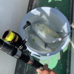 本部釣りイカダ 釣果