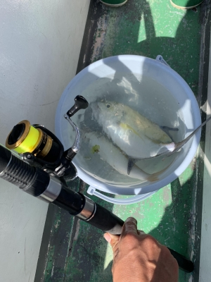 本部釣りイカダ 釣果