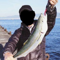 渋い中のワンチャンでメジロ。