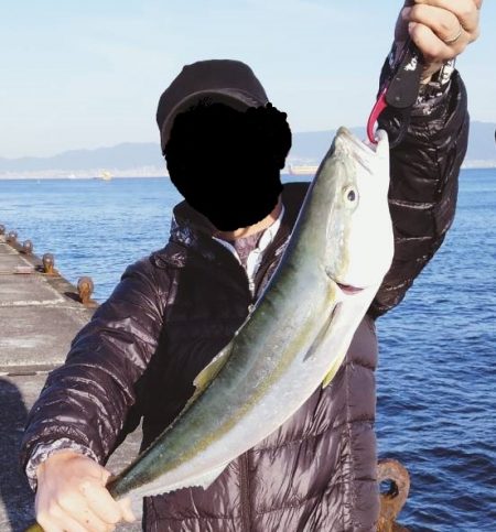 渋い中のワンチャンでメジロ。