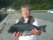 春日丸 釣果