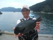 春日丸 釣果