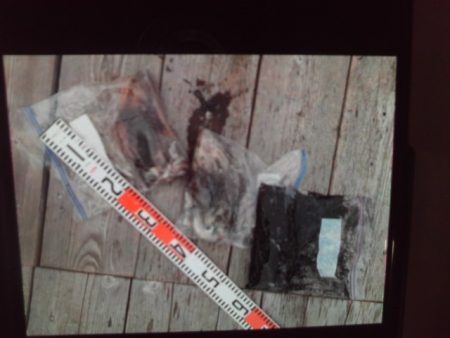 こかわ渡船　雅丸 釣果