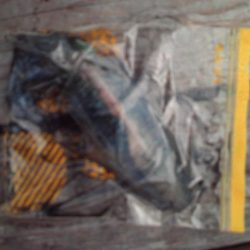 こかわ渡船　雅丸 釣果