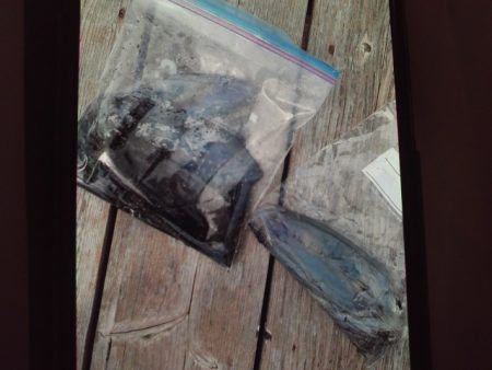 こかわ渡船　雅丸 釣果