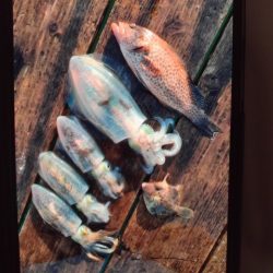 こかわ渡船　雅丸 釣果