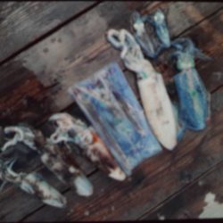 こかわ渡船 雅丸 釣果