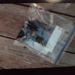 こかわ渡船　雅丸 釣果