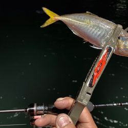 宵姫 爽は引きを楽しませてくれるロッド【がまかつ LUXXE宵姫 爽　インプレッション】